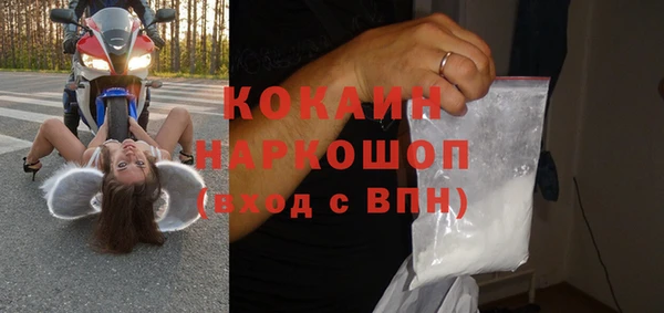 сатива Горняк