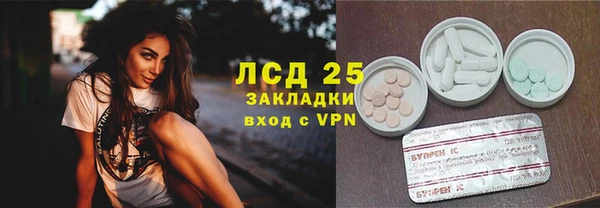 сатива Горняк