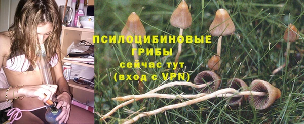 сатива Горняк
