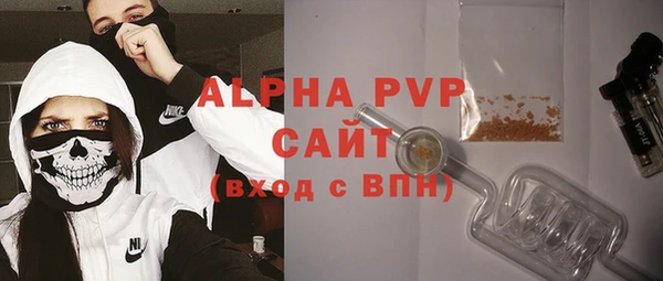 ПСИЛОЦИБИНОВЫЕ ГРИБЫ Вязники