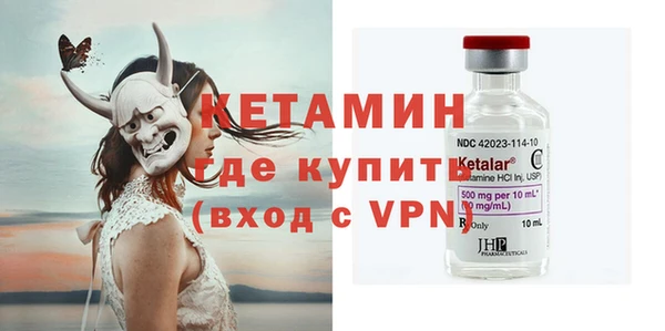 сатива Горняк
