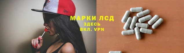 ГАЛЛЮЦИНОГЕННЫЕ ГРИБЫ Горно-Алтайск