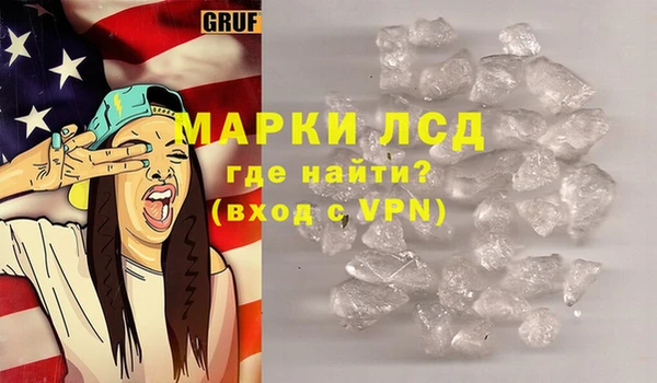 сатива Горняк