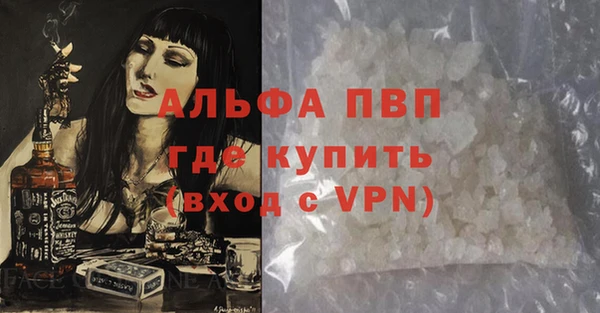 сатива Горняк