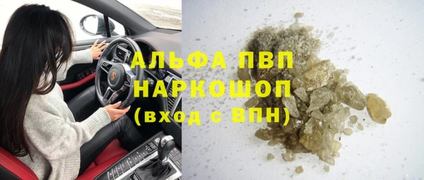 прущие грибы Горнозаводск