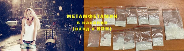 прущие грибы Горнозаводск