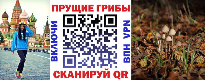 Псилоцибиновые грибы Psilocybe  Чердынь 